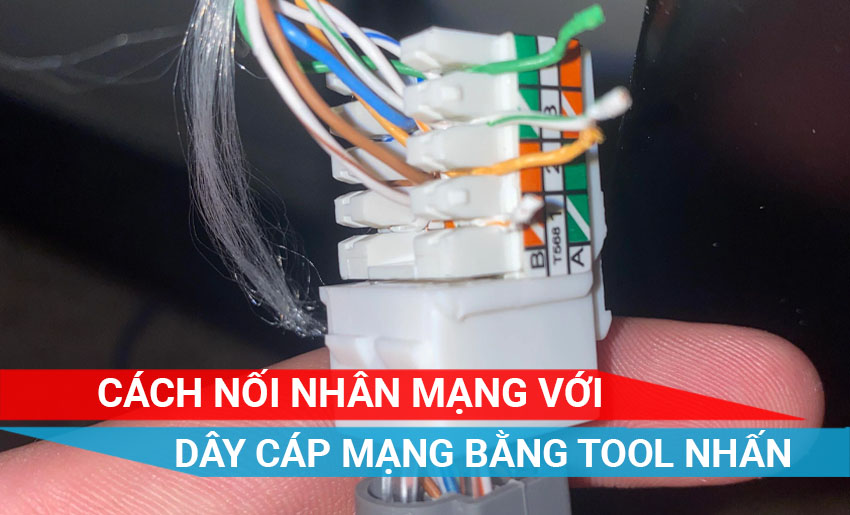 Cách đấu nối cáp mạng với nhân mạng (Keystone Jack)